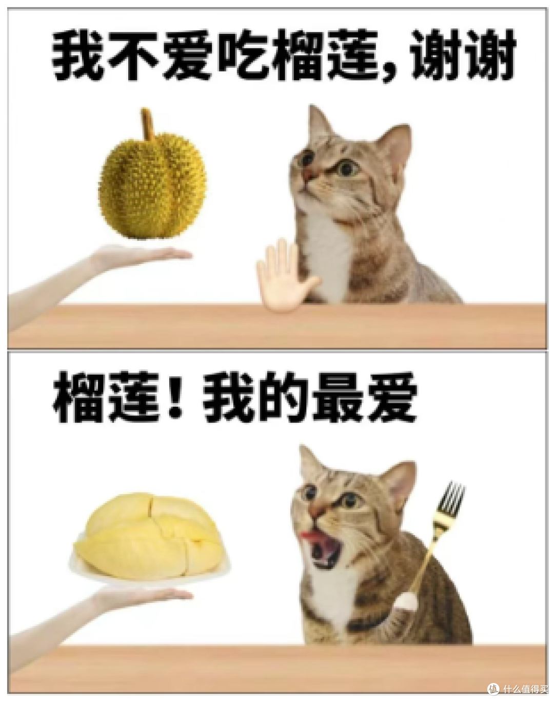 2500余吨榴莲,抵达广州!网友:“榴莲自由”真的来了?