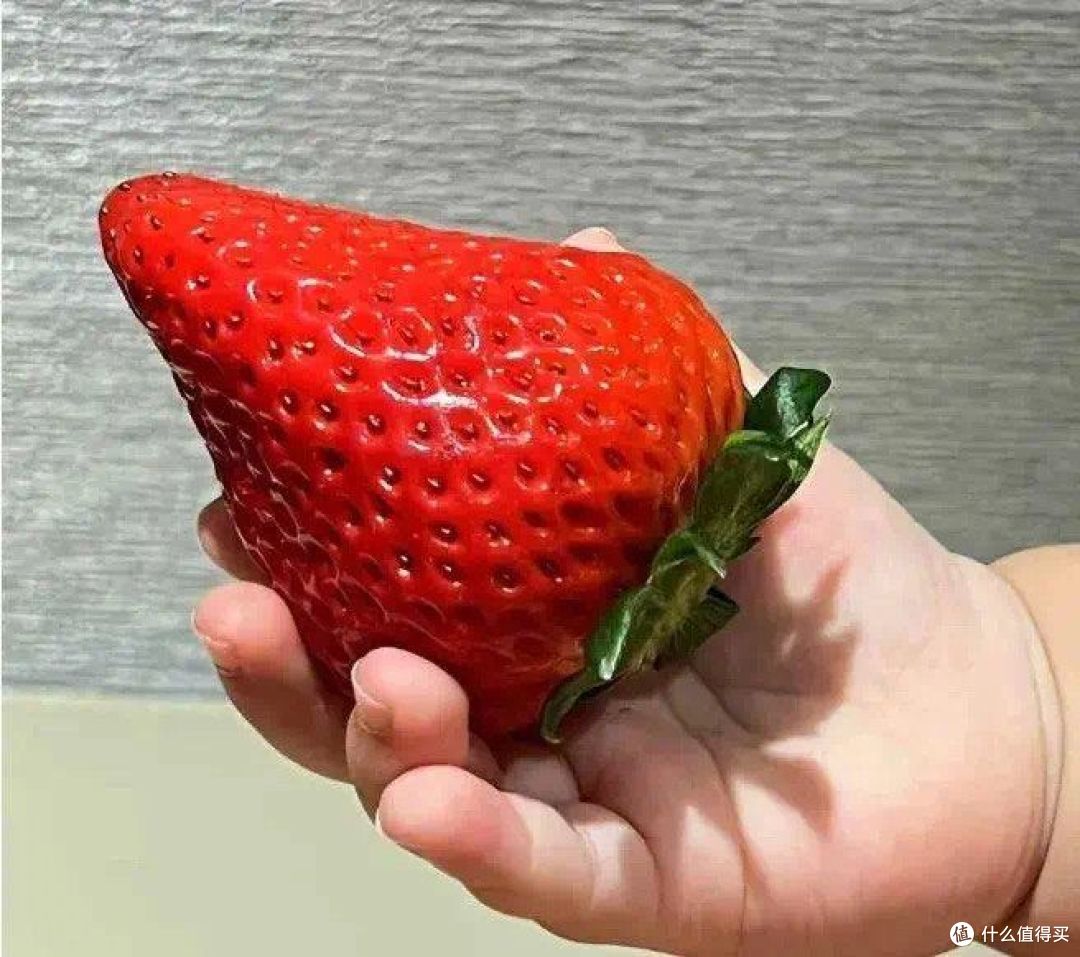 激素草莓和自然熟草莓的区别,你知道多少?