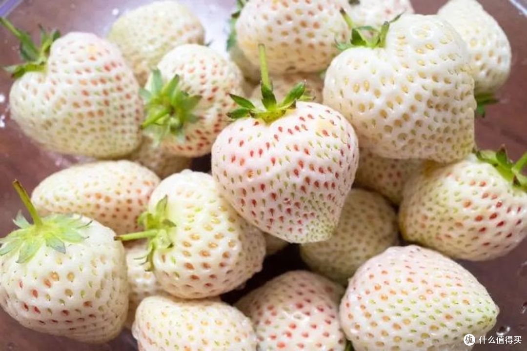 激素草莓和自然熟草莓的区别,你知道多少?