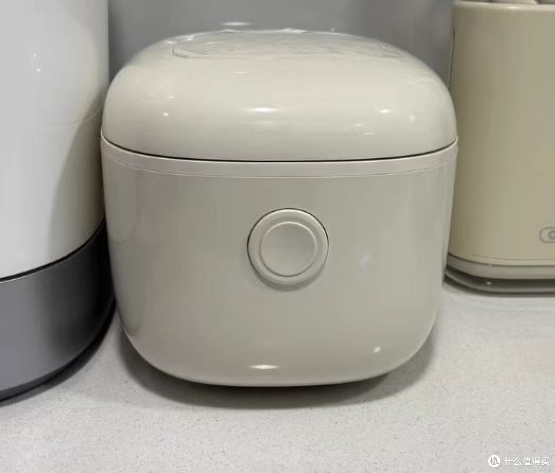 电饭煲哪个品牌好?排名前十名机型公开实测揭秘