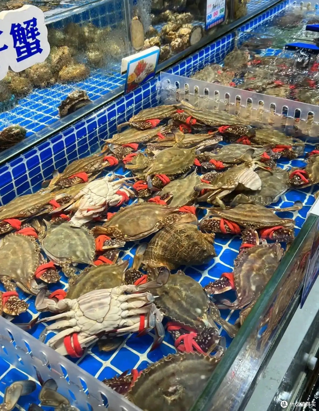 别再说烟台是“海鲜城市”那么简单了，五一来一趟，吃到笑出声！