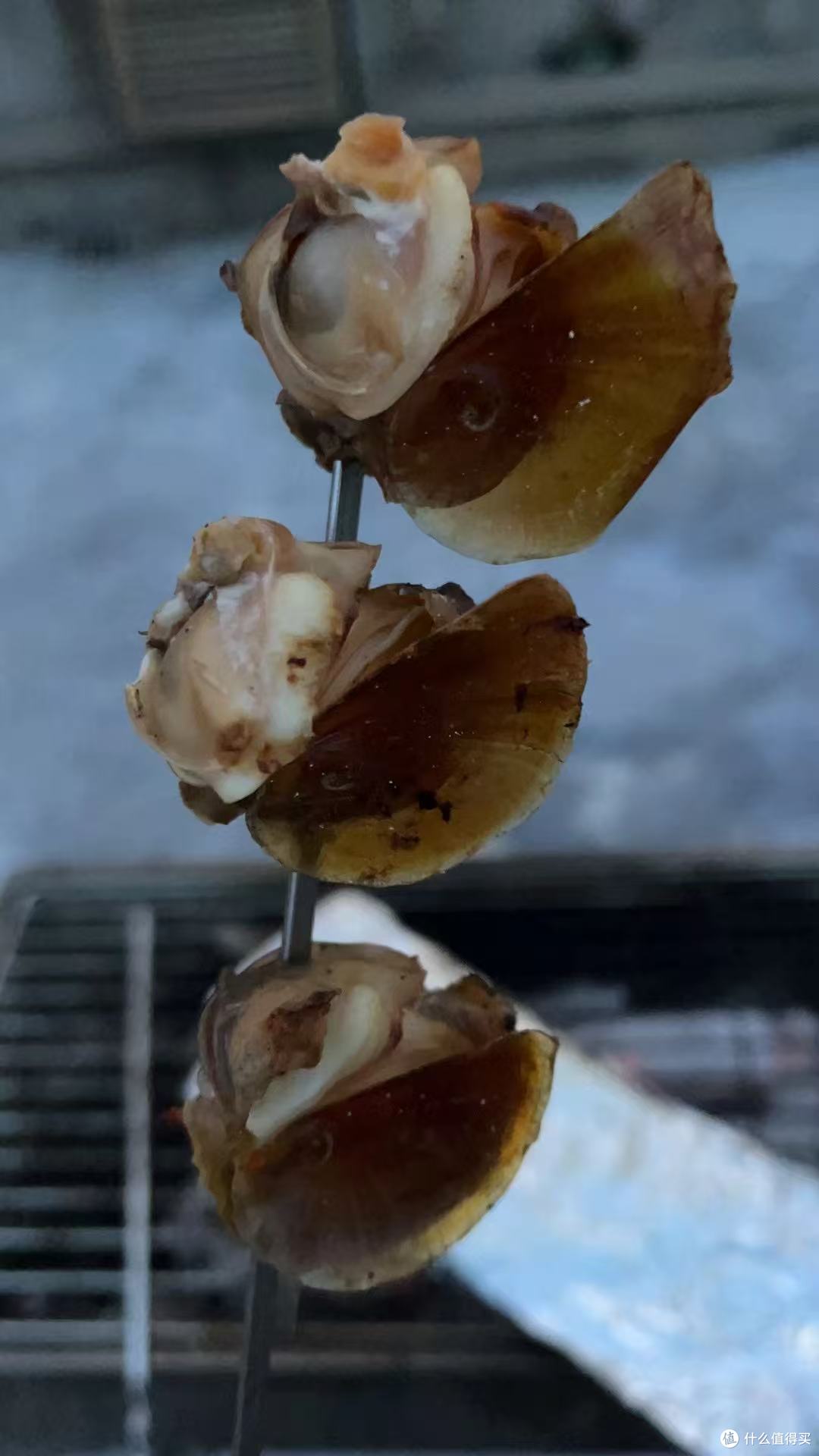 烧烤季到了 分享几种超好吃的串 每次都必不可少