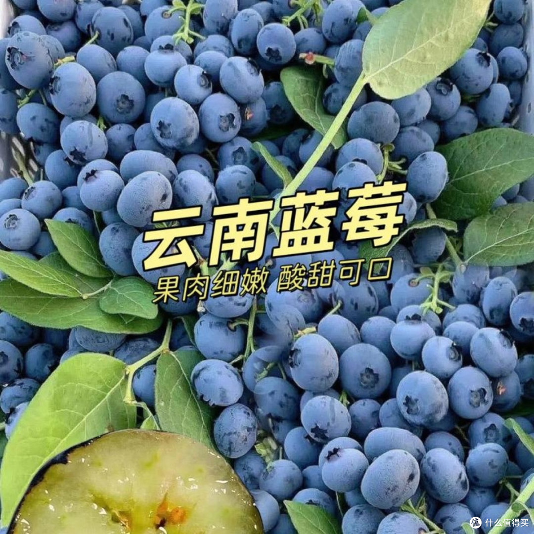 淘宝闪购,食品生鲜羊毛薅到停不下来