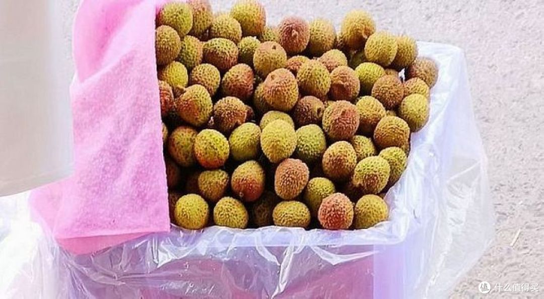 荔枝几月结果几月成熟？何时品尝最鲜美？