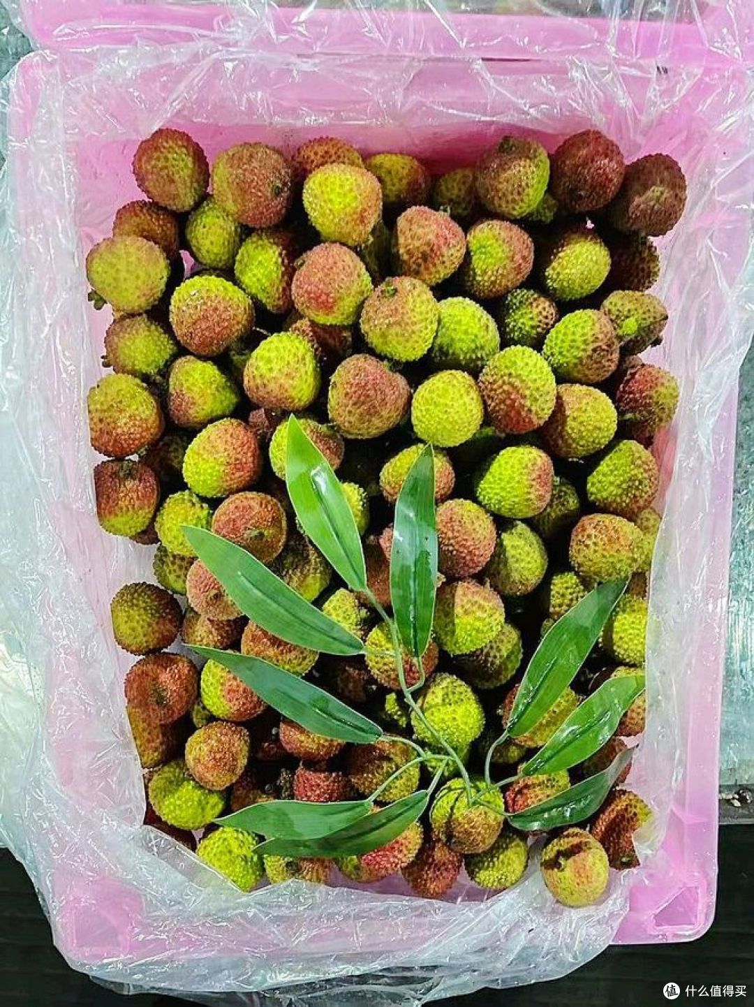 荔枝几月结果几月成熟？何时品尝最鲜美？