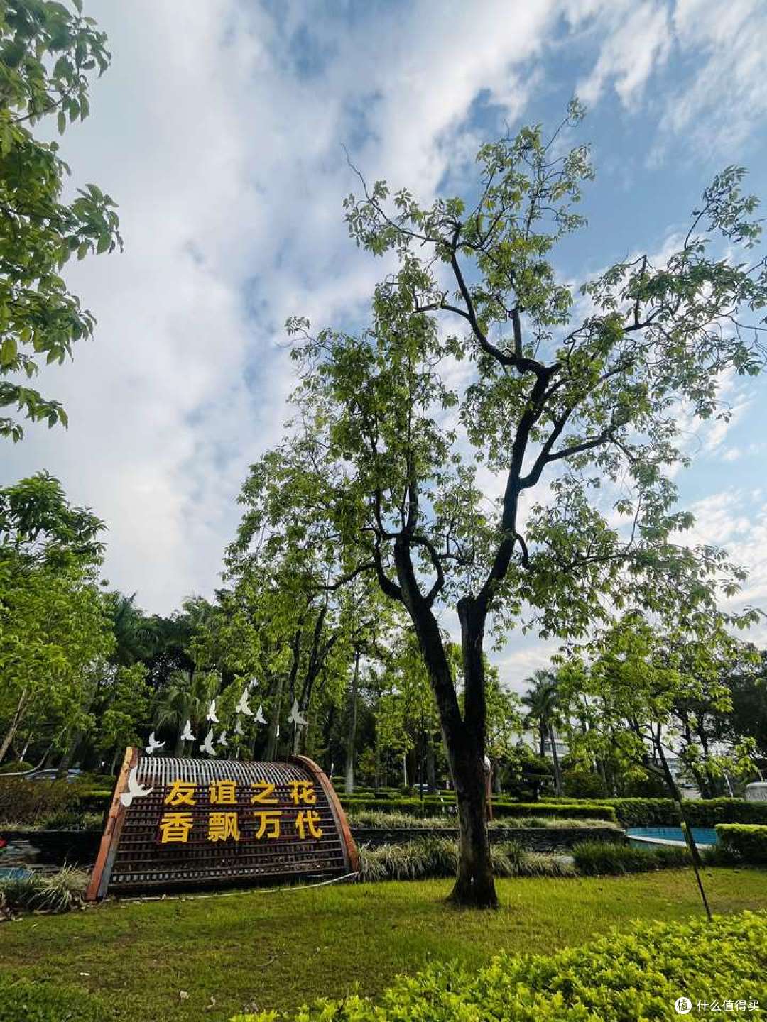 芒市游记，芒市都有啥好玩好吃的？