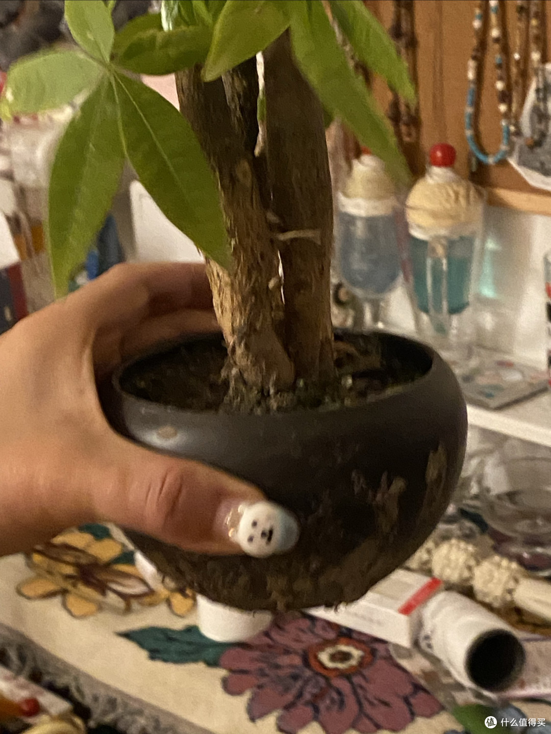 懒人专属绿植养护秘诀