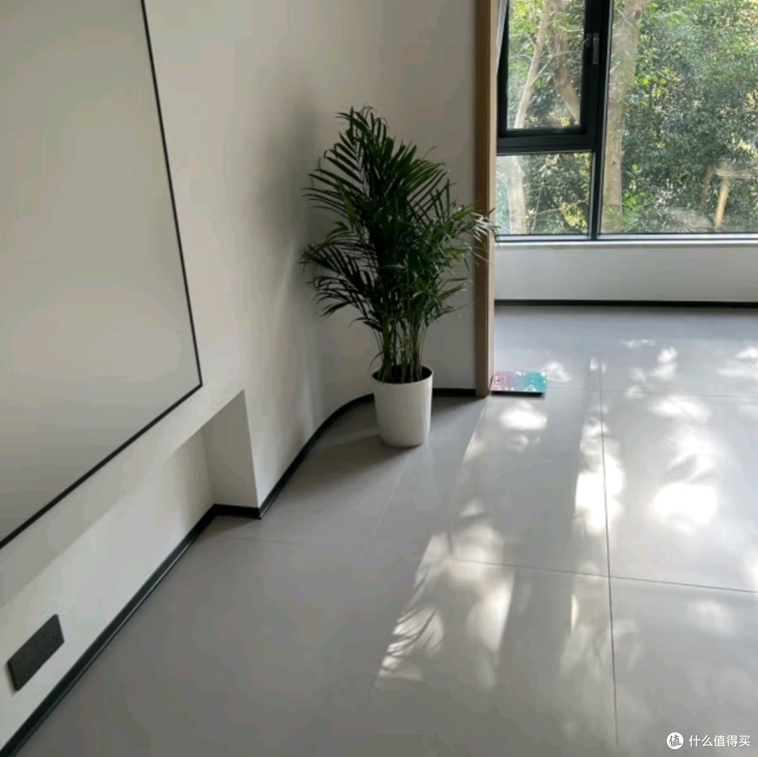 植男植女之选：客厅的绿色瑰宝——散尾葵大型绿植