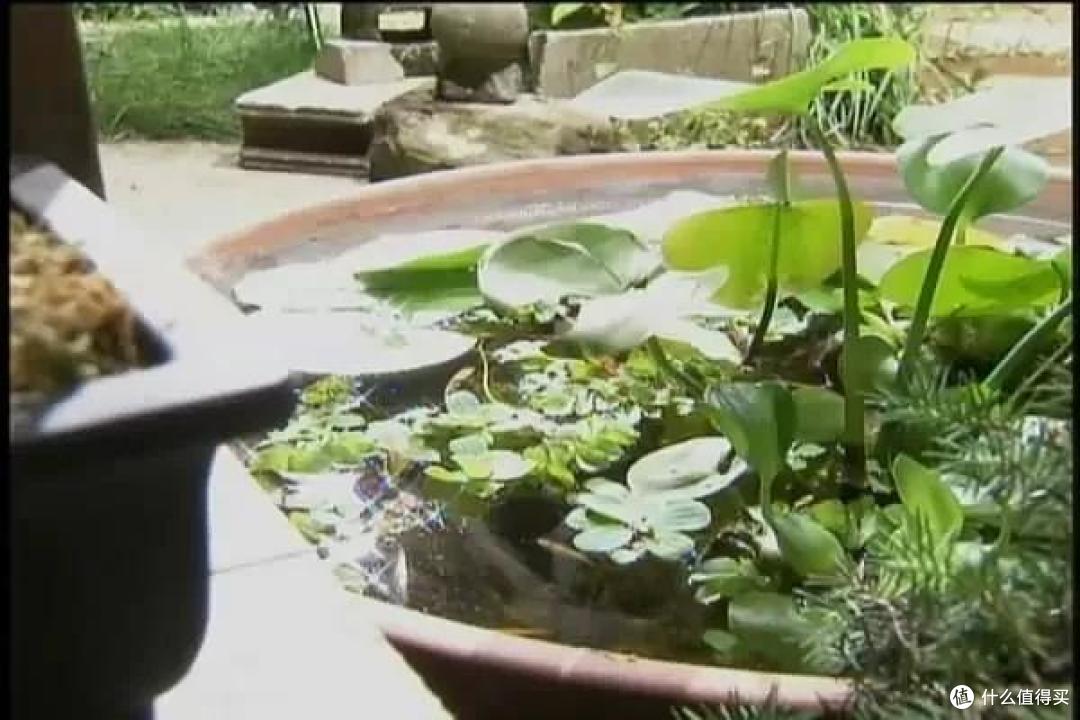 如果一辈子只看一部日剧,那就看它吧~