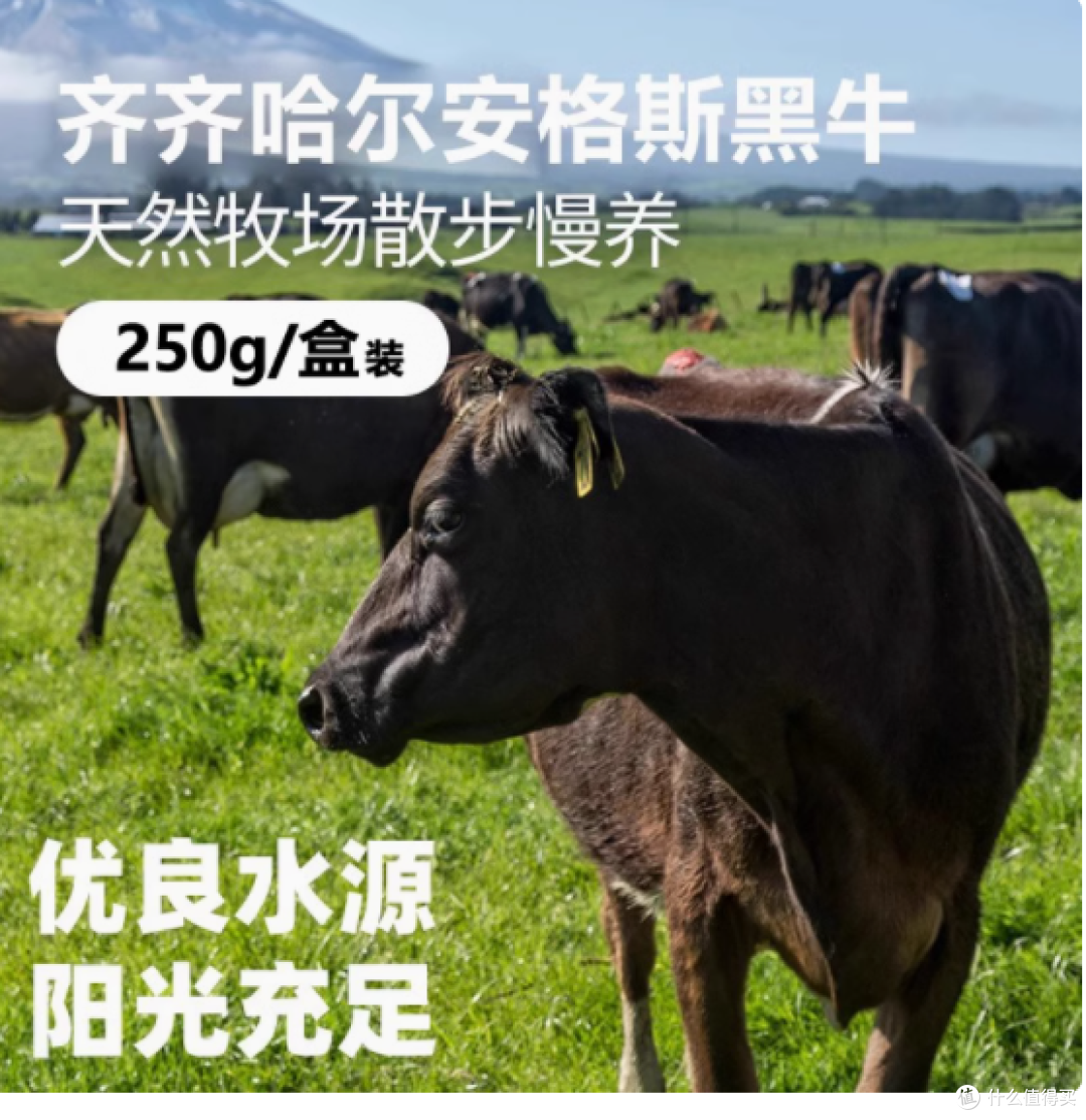 牛少侠旗舰店:齐齐哈尔烤肉 2000g 套餐,尽享正宗东北风味