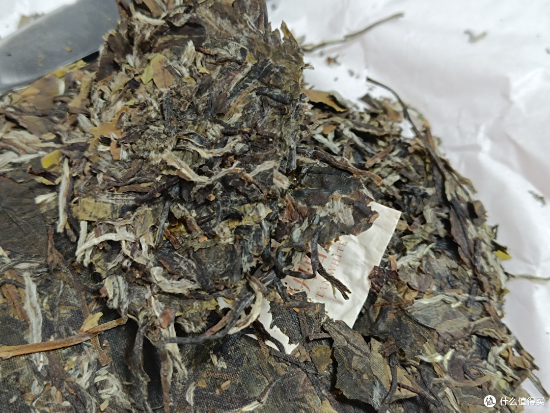 拆解一饼白牡丹的仪式感——2023中茶耀世牡丹白茶品鉴
