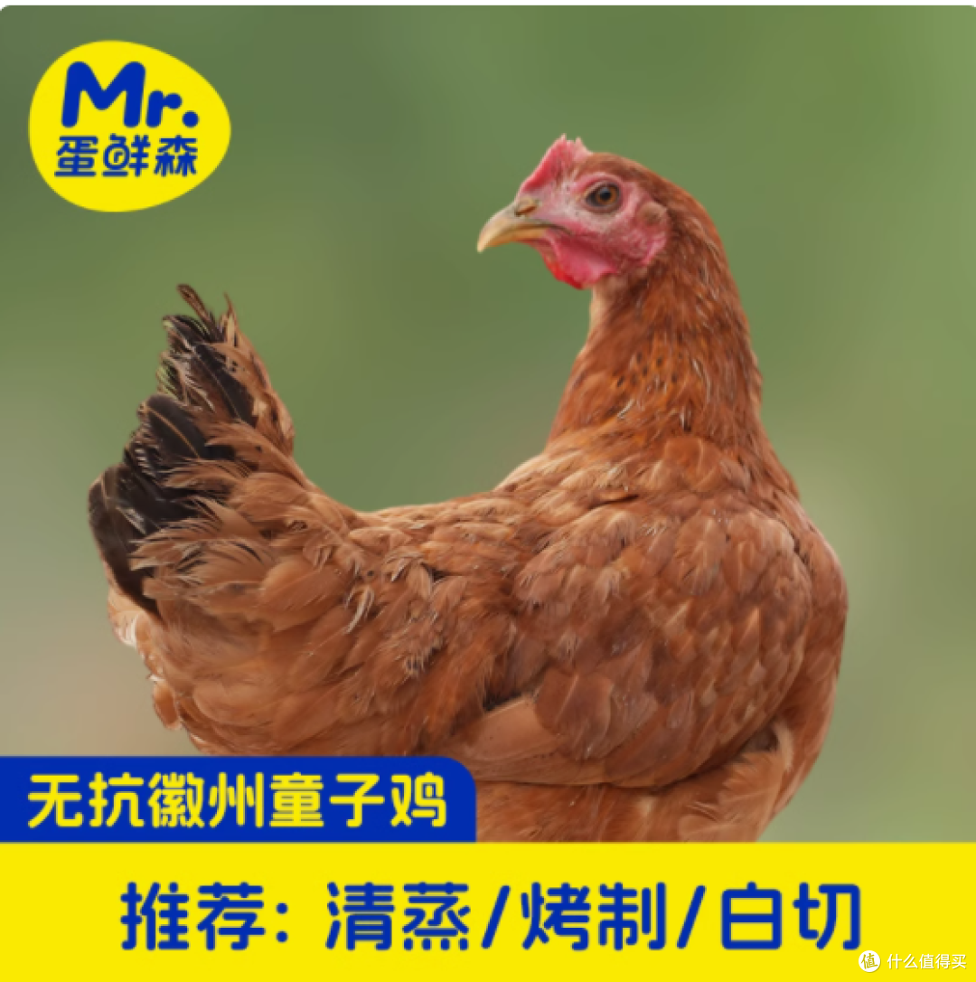 蛋鲜森无抗童子鸡：品质、美味与健康的完美融合