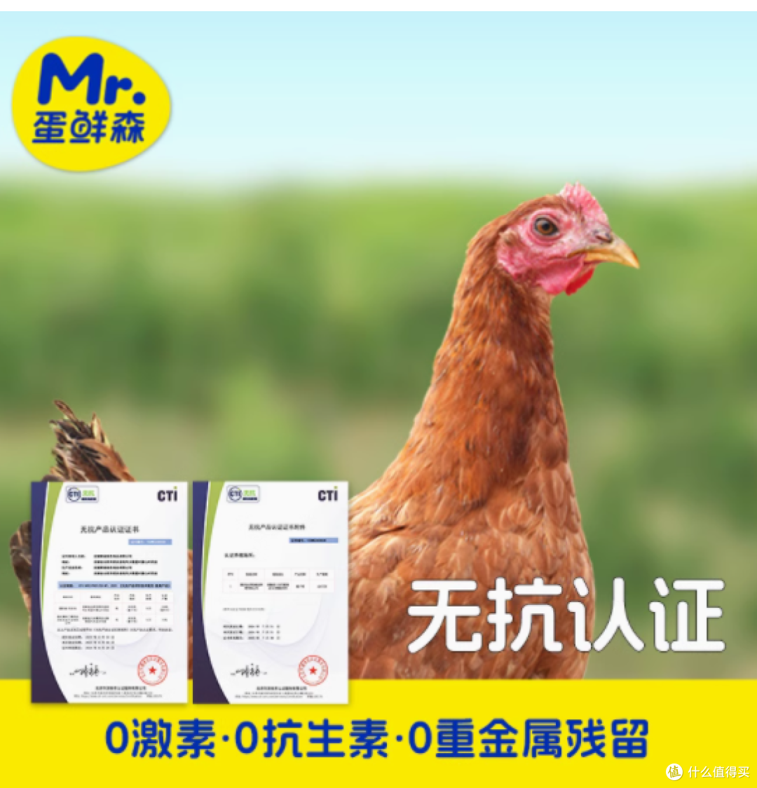 蛋鲜森无抗童子鸡：品质、美味与健康的完美融合