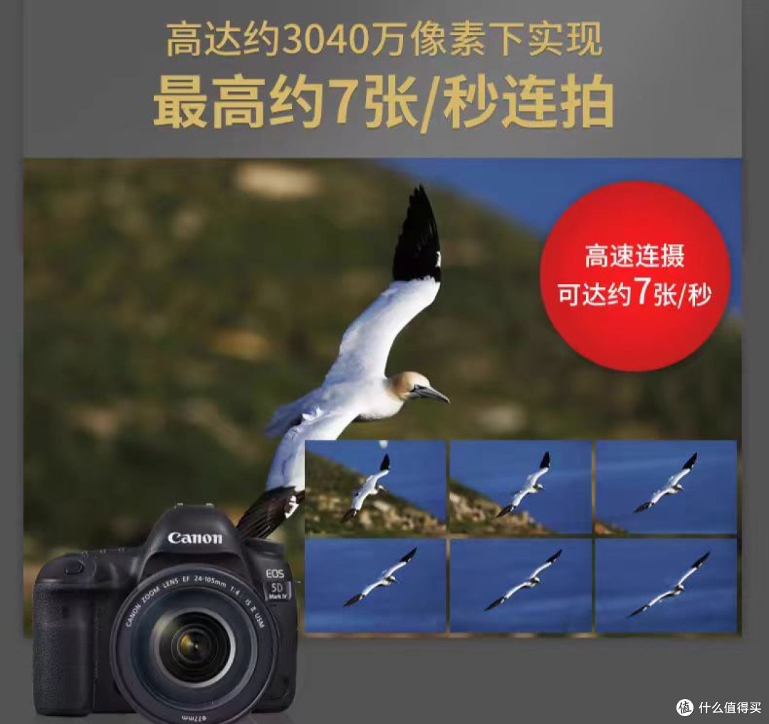 佳能EOS 5D Mark IV,摄影进阶之选