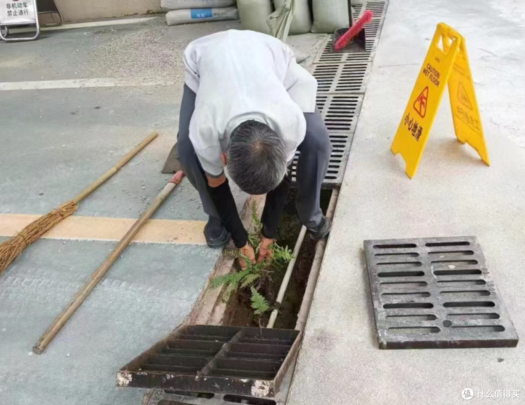 或将“全面取消”？四川打响取消物业“第一炮”，无数网友欢呼！