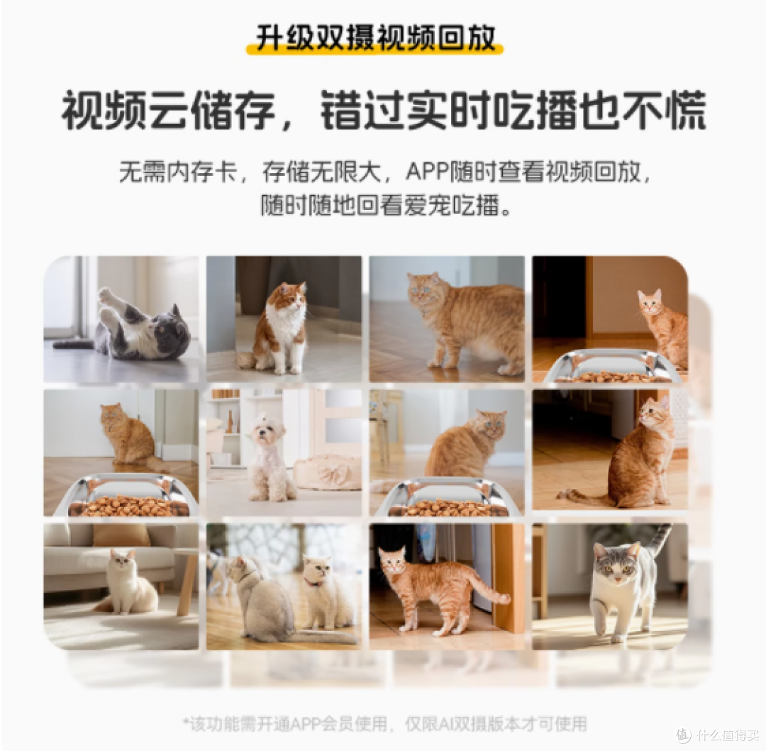 玲珑猫旗舰店宠物智能自动喂食器:爱宠饮食的贴心守护者