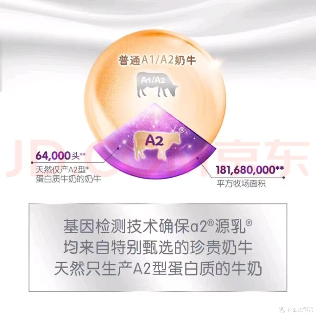 a2新西兰儿童进口乳粉