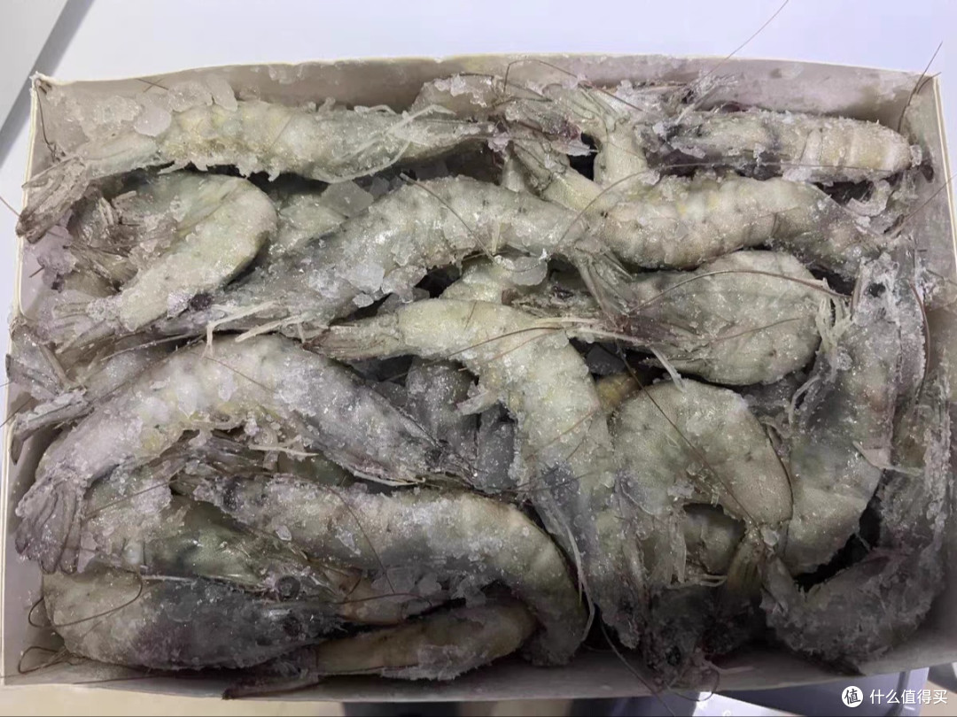 国联大号白虾,个头超大,一口超满足