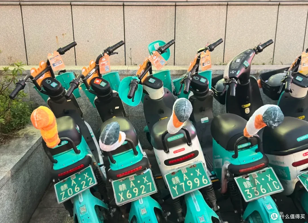 外面的世界已经进化成这样了？怎么没人通知我