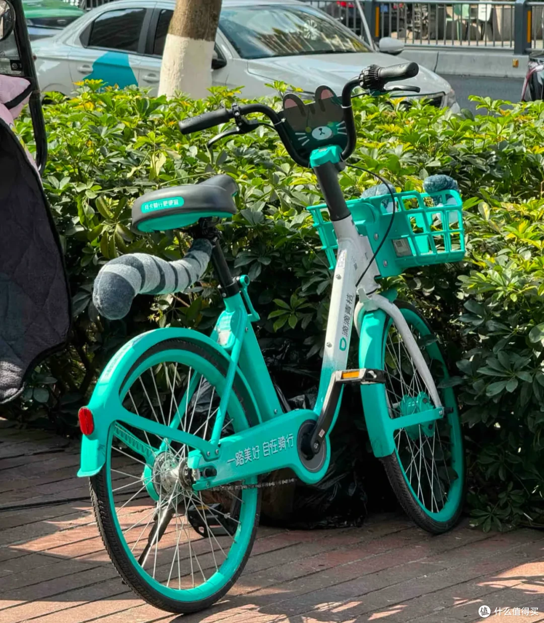 外面的世界已经进化成这样了？怎么没人通知我