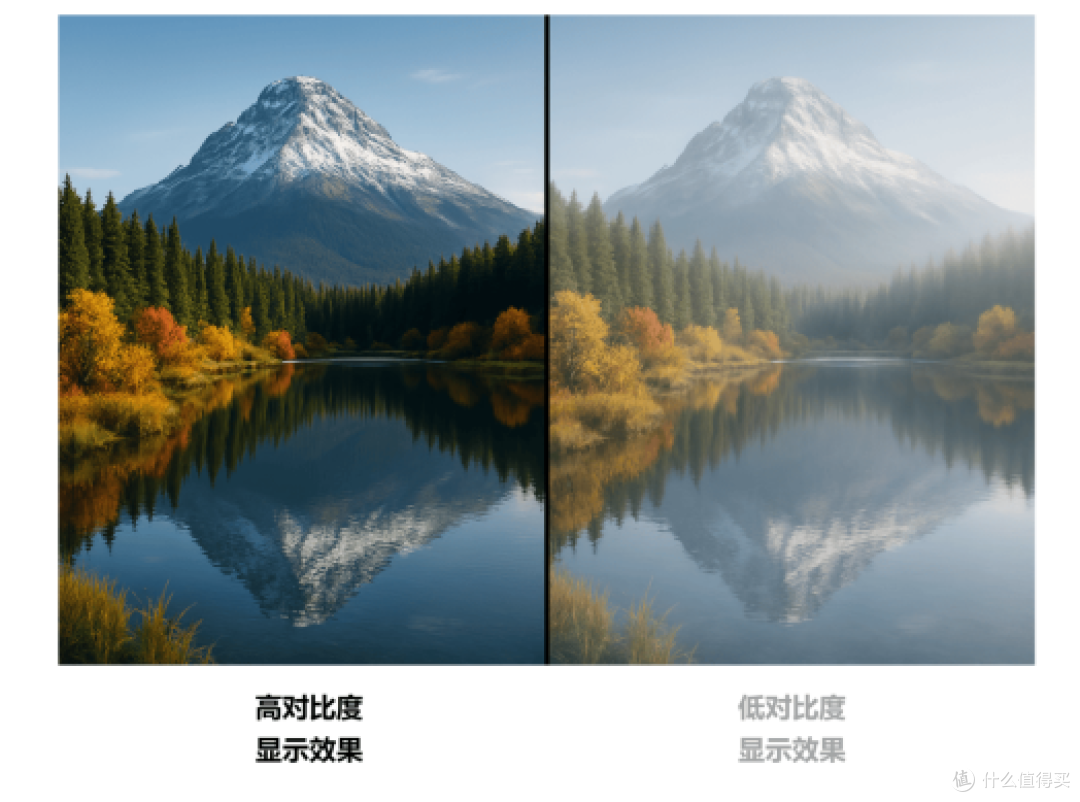 千元机价格竟有万元机画质?2025国补下T6L Mini LED电视体验报告