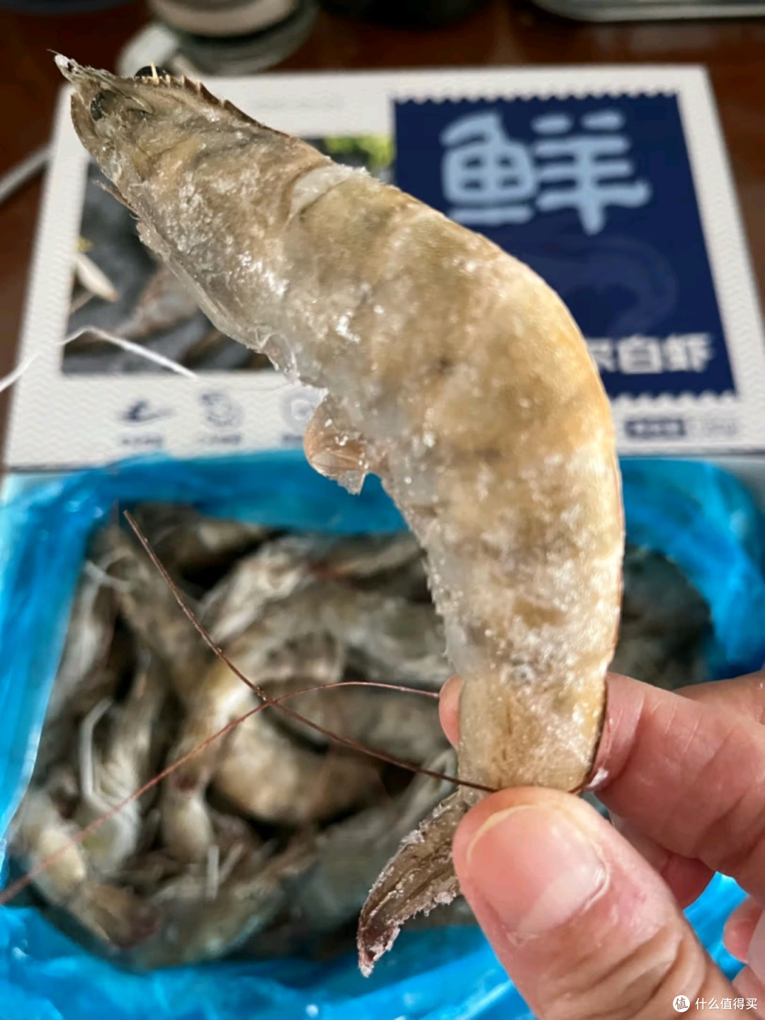 鲜京采厄瓜多尔白虾:69.1元解锁“深海鲜甜”的性价比天花板