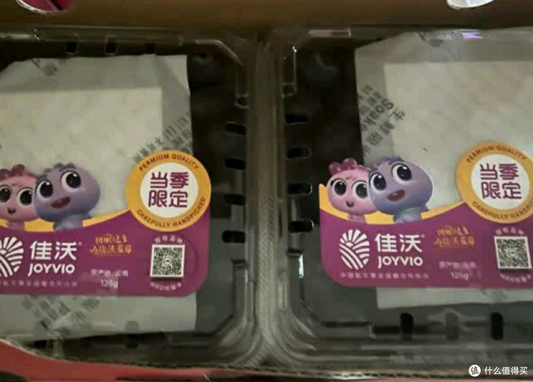 一口甜润,解锁云南的山野春光——佳沃云南蓝莓