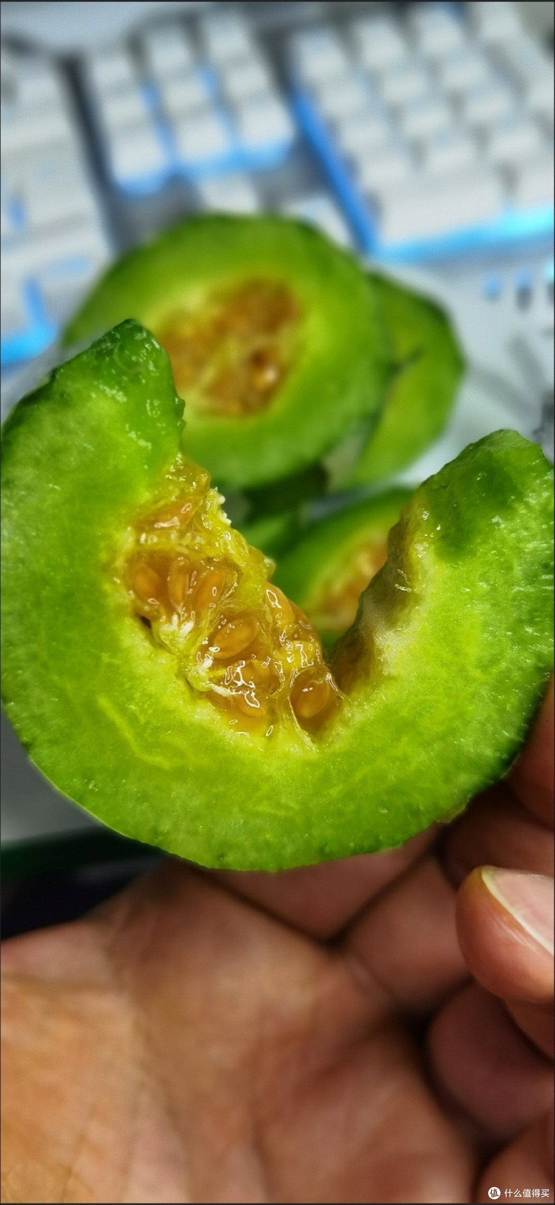 潜力作者激励计划,羊角蜜瓜酥脆香甜真美味