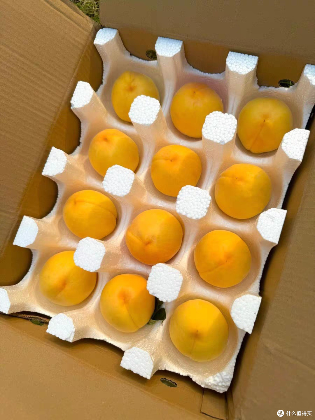 买生鲜踩坑源头直发的黄金油桃值得买吗