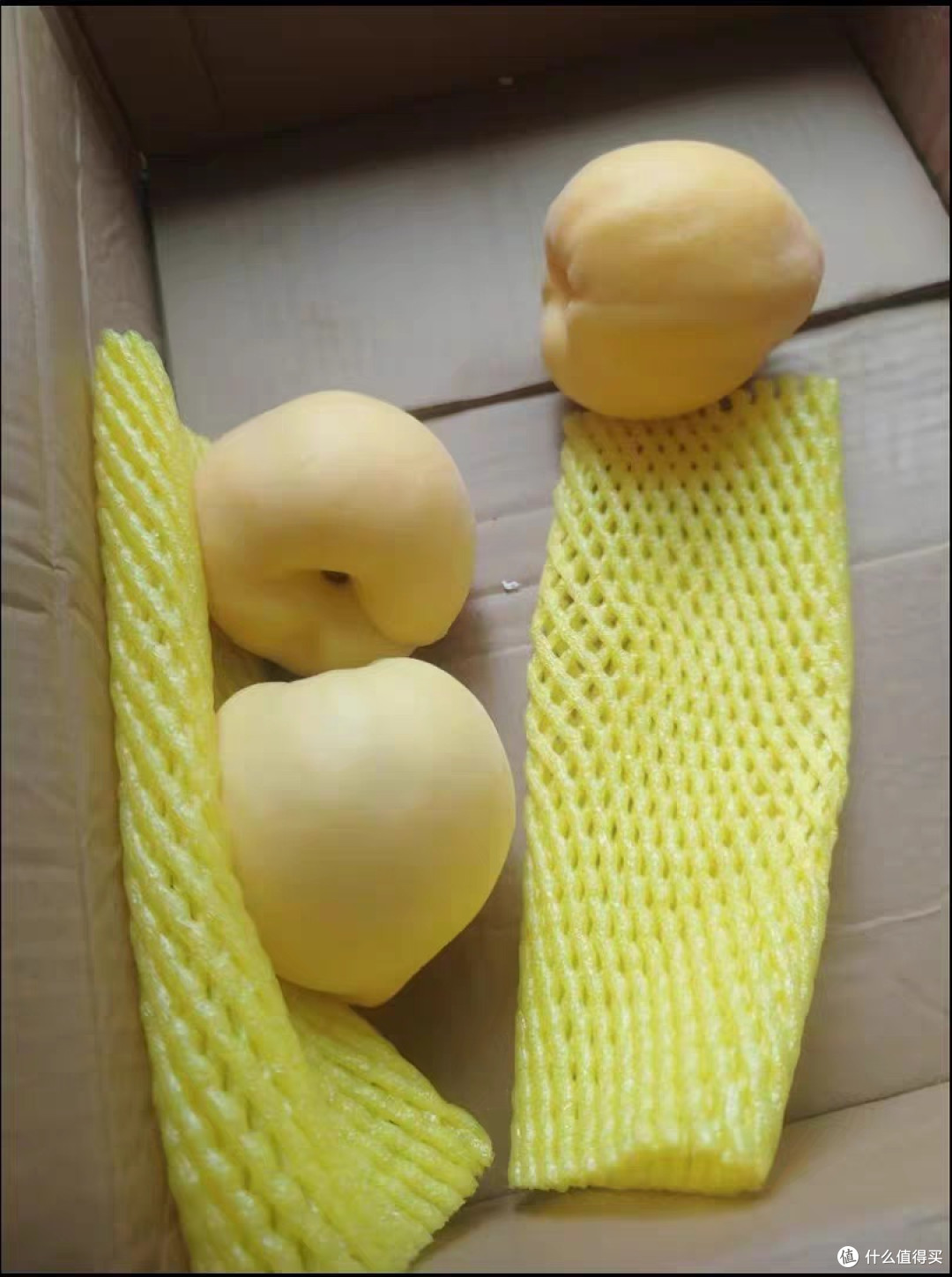 买生鲜踩坑源头直发的黄金油桃值得买吗