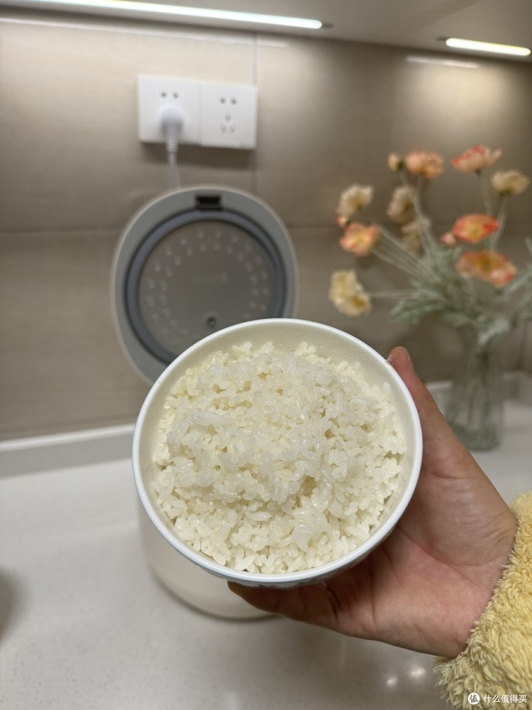 挖到宝！小熊3L微压力电饭煲，小户型家庭之光