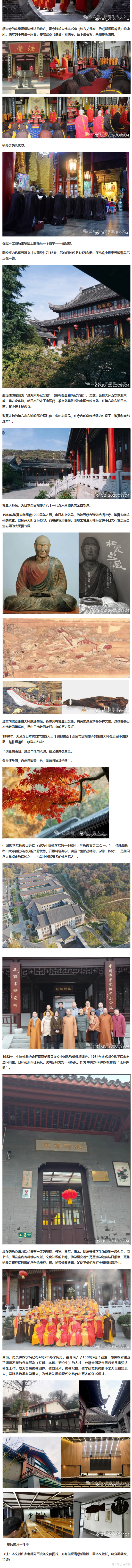 栖霞,枫叶“正红”——游南京栖霞山记(六)