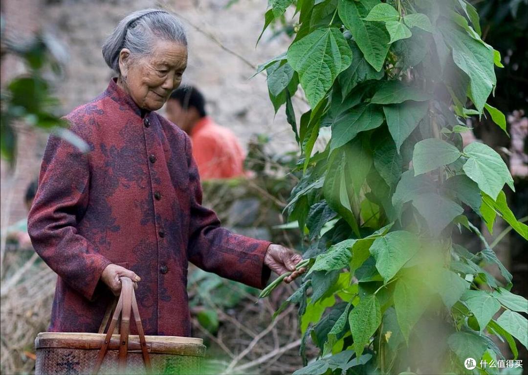 百岁老人,看起来只有60岁,秘密不是喝牛奶多运动,而是这4件事