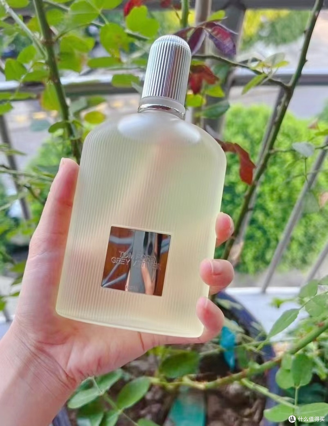 木质调绅士香氛:TOM FORD 灰色香根草 男士香水