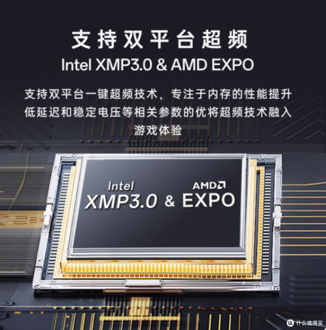 十铨引领者DDR5内存条——开启性能新纪元