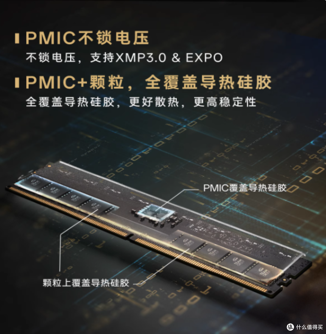 十铨引领者DDR5内存条——开启性能新纪元