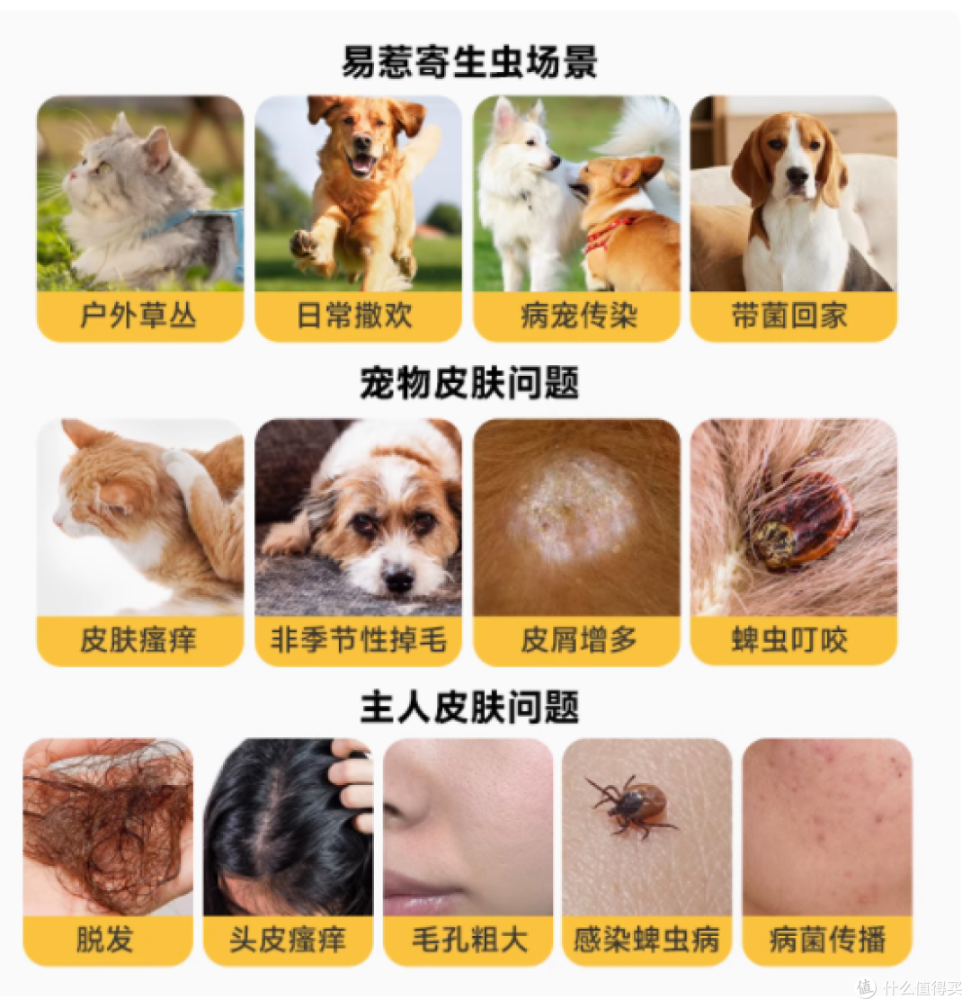 BAYLDAHL拜达尔宠物驱虫喷雾——户外守护神,让爱犬无忧撒欢