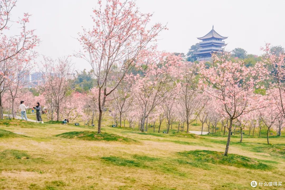 这么多好吃的城市,只有这里让人吃完想定居!