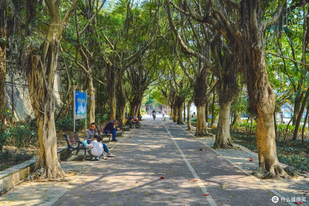 这么多好吃的城市,只有这里让人吃完想定居!