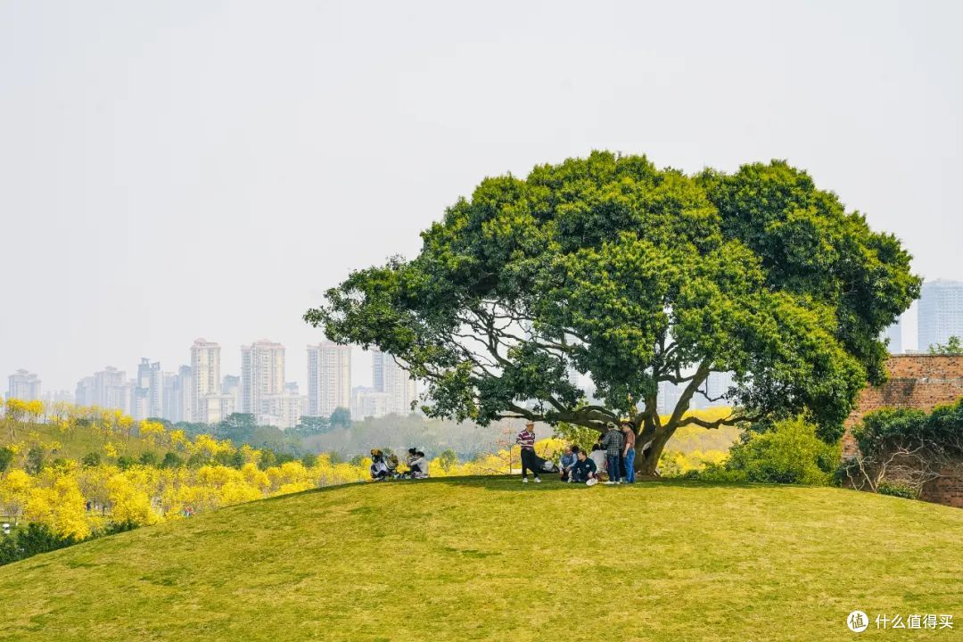 这么多好吃的城市,只有这里让人吃完想定居!