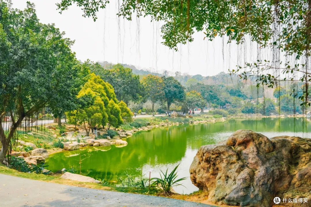 这么多好吃的城市,只有这里让人吃完想定居!