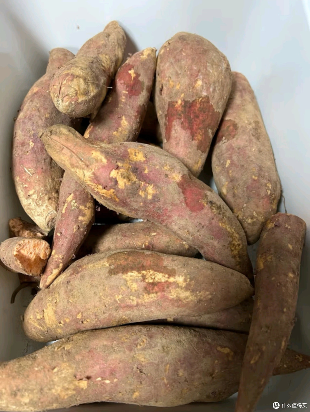 美味香遇·西瓜红蜜薯:沙地瑰宝,甜蜜邂逅