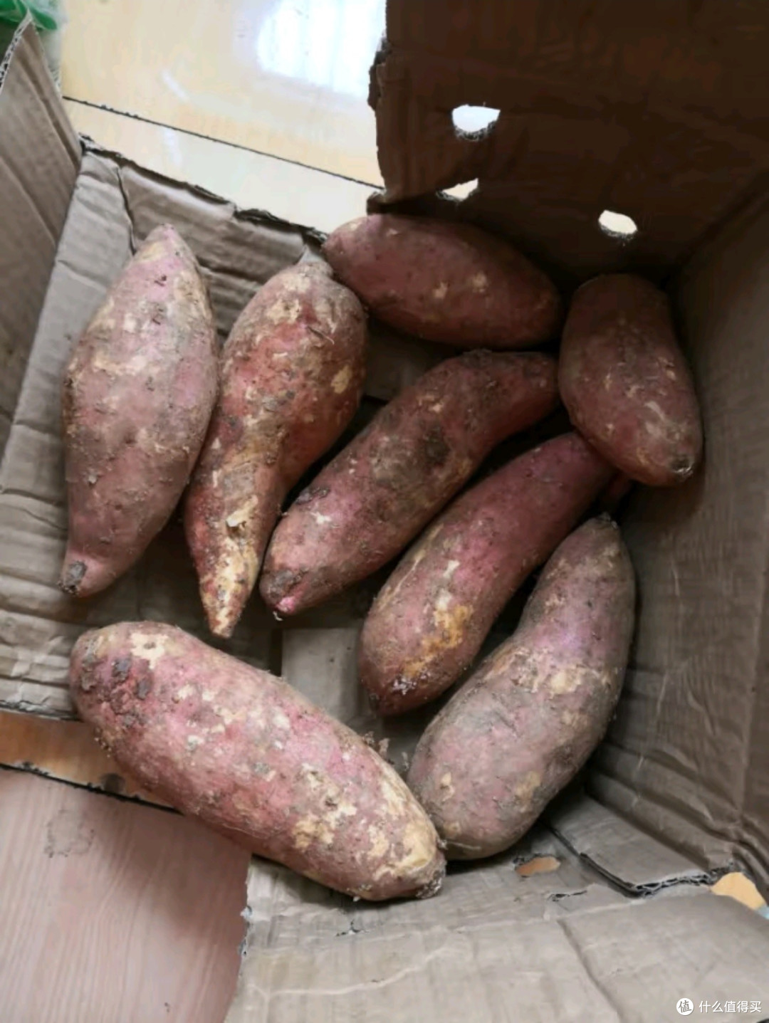 美味香遇·西瓜红蜜薯:沙地瑰宝,甜蜜邂逅
