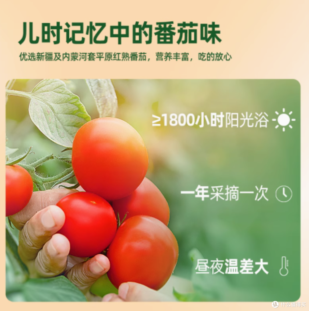 屯河旗舰店——中粮屯河番茄酱198g*6罐头:厨房里的新疆红宝石