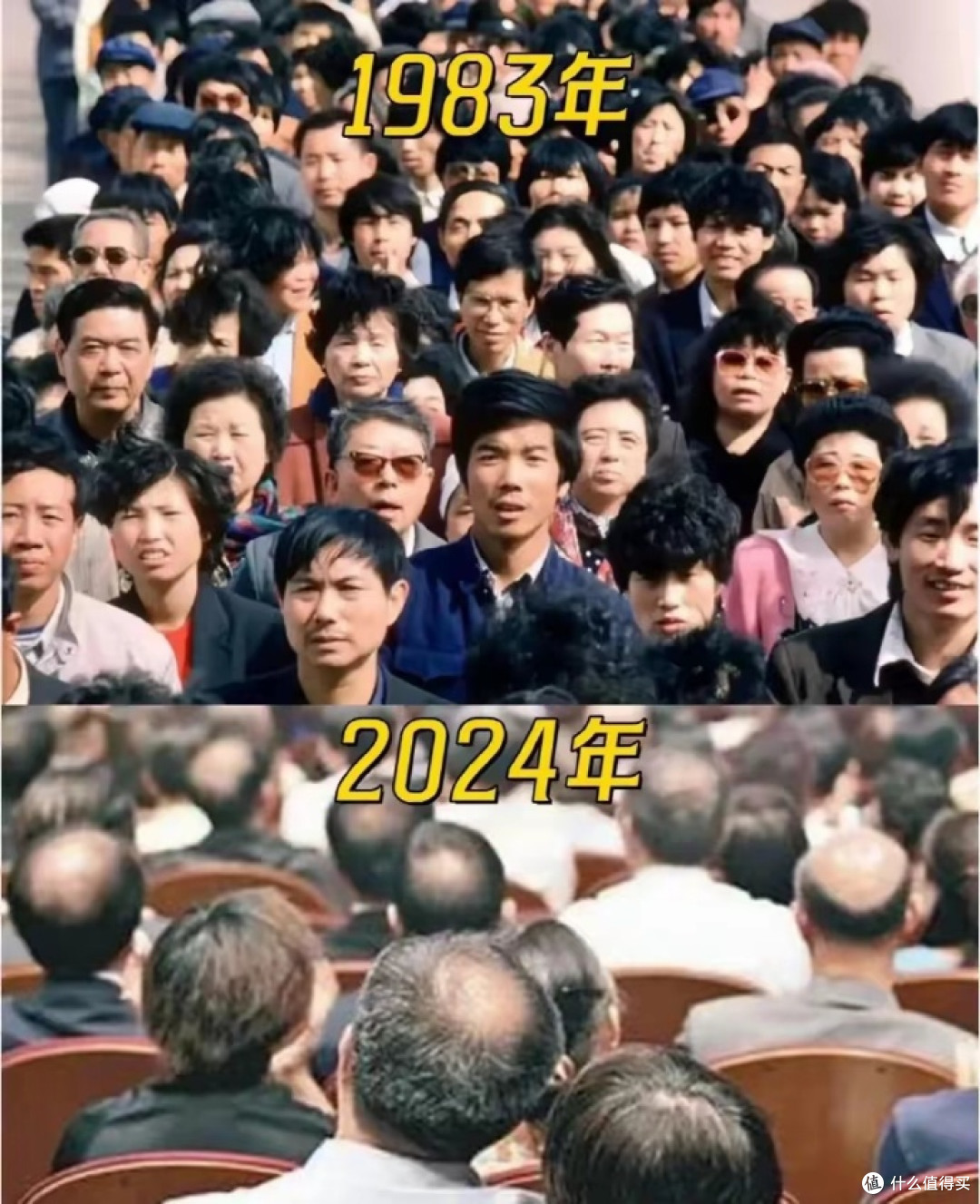 不想谢顶,看这里!告诉你脱发的根源和我的抗脱经验(成因篇)