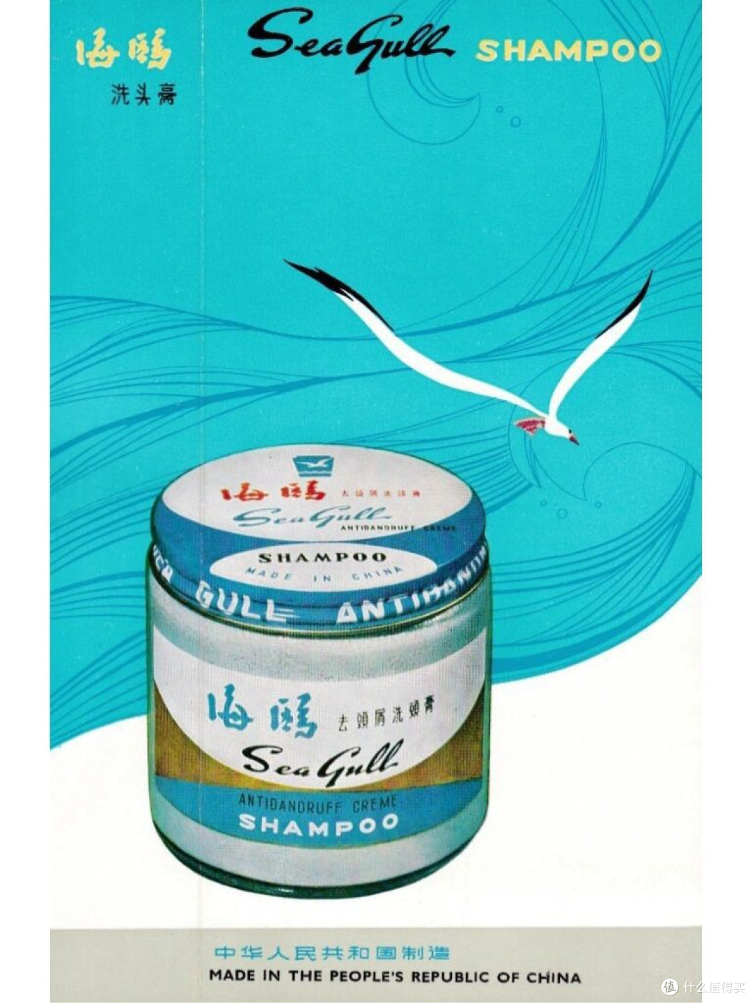 不想谢顶,看这里!告诉你脱发的根源和我的抗脱经验(成因篇)