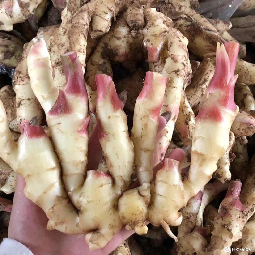 湿气最怕这“食材”，入伏后敞开吃，开胃健脾去燥热，健康过三伏