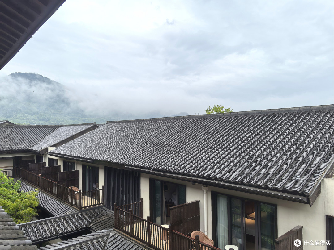 礼佛九华山麓·我的开元颐居酒店初体验