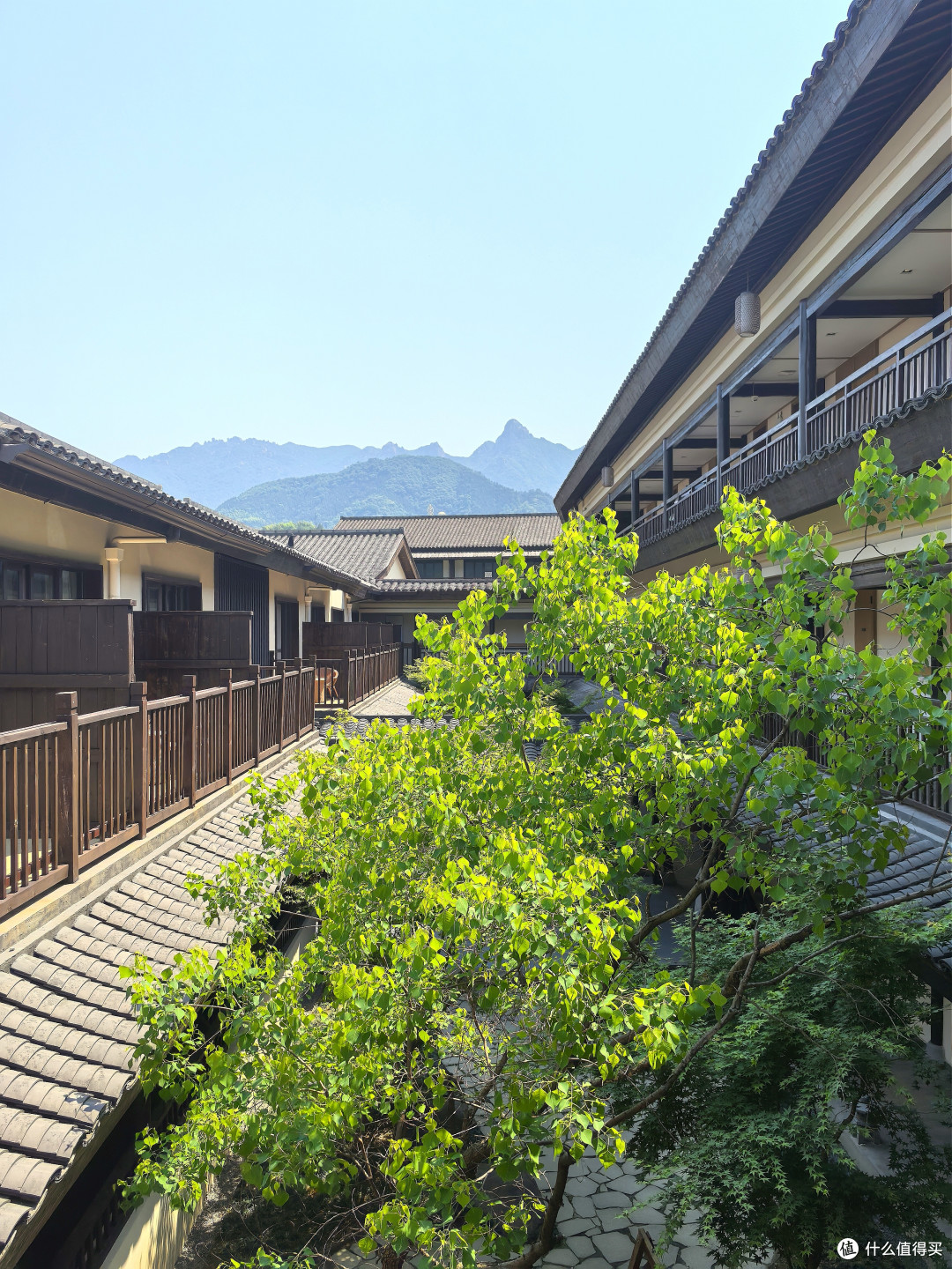 礼佛九华山麓·我的开元颐居酒店初体验