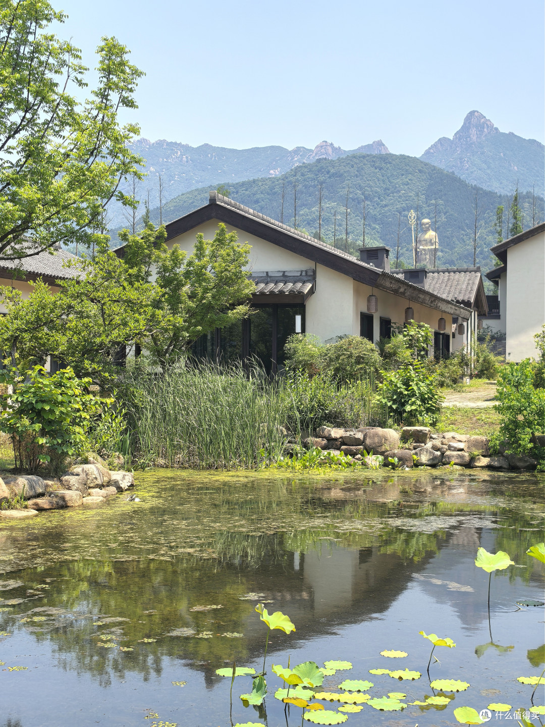 礼佛九华山麓·我的开元颐居酒店初体验